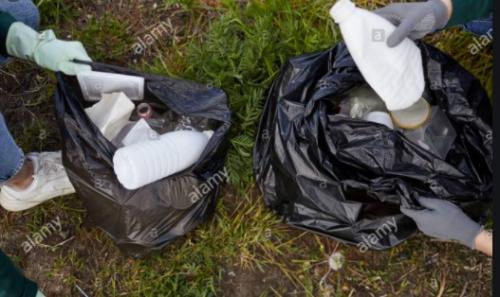 Bags/Gloves (FREE! Please see description)